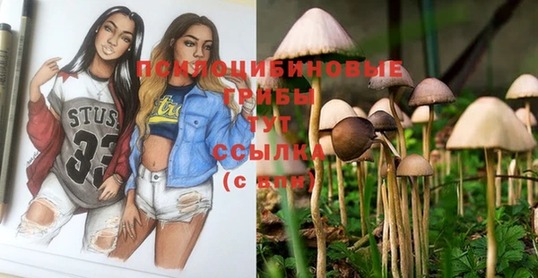 хмурый Абаза