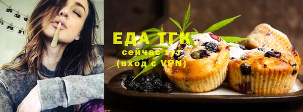 хмурый Абаза