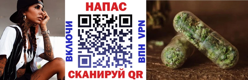 Конопля OG Kush Александровск